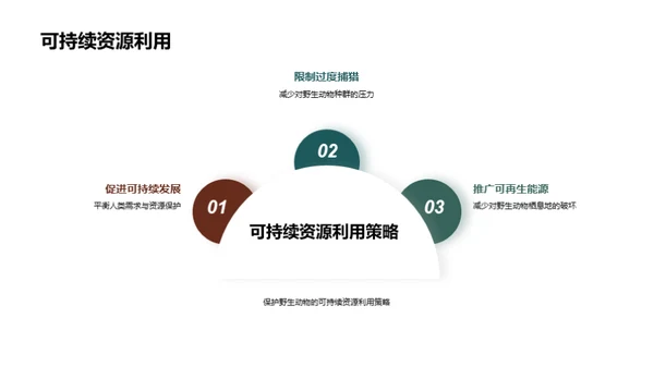 保护野生动物的重要性