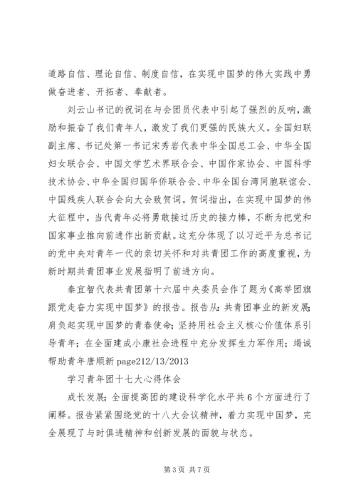 学习共青团十七大心得体会五篇.docx