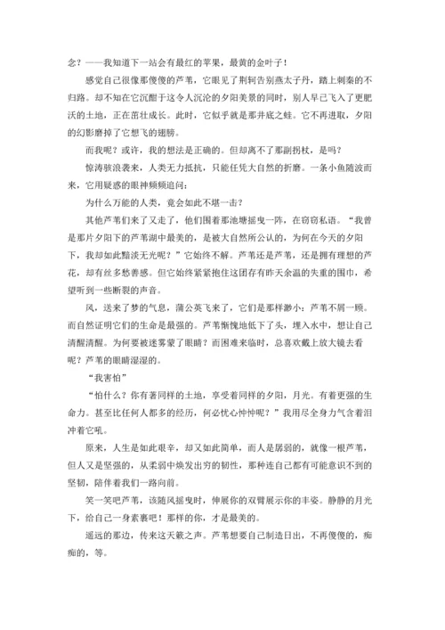 有关高中优秀作文锦集五篇.docx