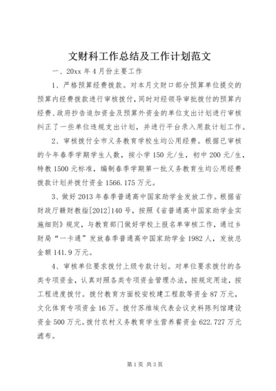 文财科工作总结及工作计划范文.docx