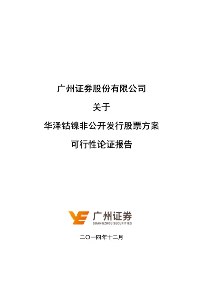 华泽钴镍非公开发行股票方案可行性分析报告.docx