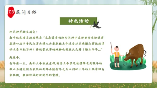 立春杨柳春风通用PPT模板