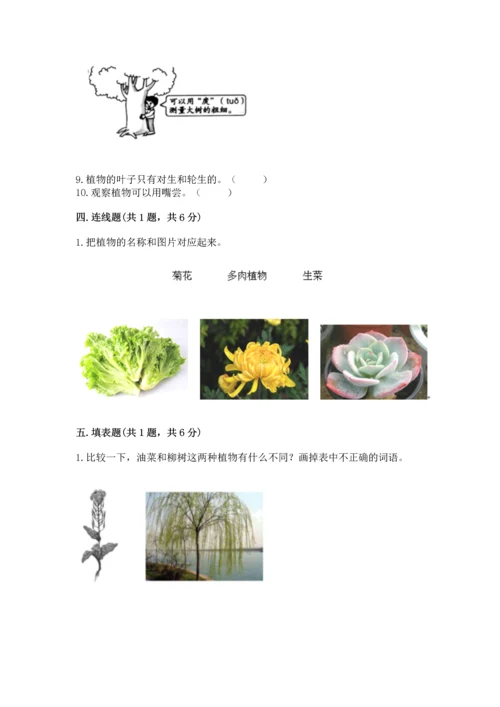教科版一年级上册科学期末测试卷附参考答案【培优a卷】.docx