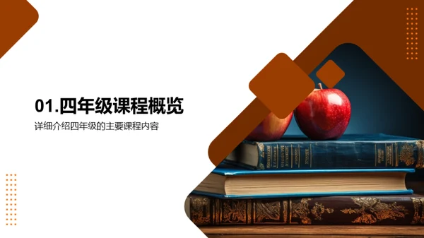 四年级学习全解析