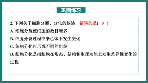 第一单元第三章从细胞到生物体（复习课件）-七年级生物上册同步教学精制课件（人教版2024）(共44张