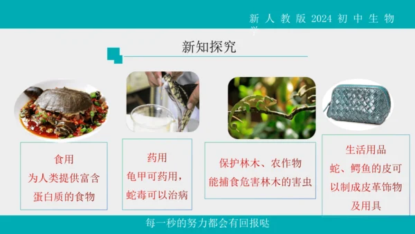 人教版生物七年级上册2.2.2《脊椎动物》（第1课时）课件(共42张PPT)+视频素材