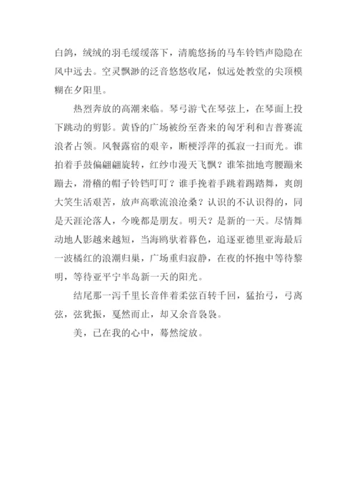 小提琴之美作文800字.docx