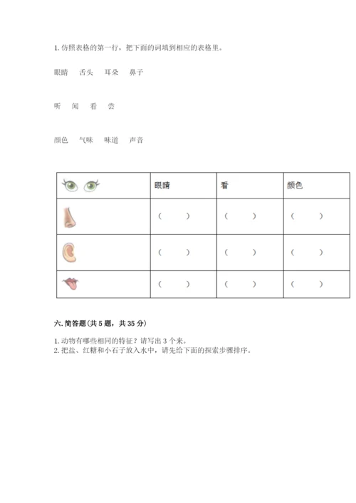 教科版一年级下册科学期末测试卷含完整答案【网校专用】.docx
