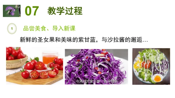 2.2.3植物体的结构层次 【说课课件】2023--2024学年人教版生物七年级上册(共42张PPT