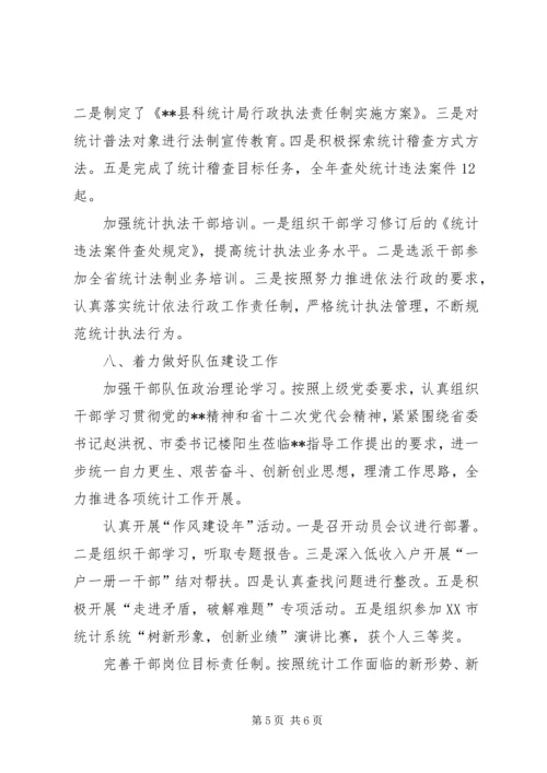 县统计工作成效年终汇报小结.docx