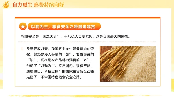 大学生形势与政策保障粮食安全的中国策ppt课件党建