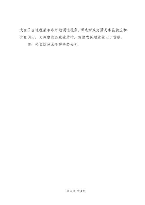 乡镇经作站站长先进事迹材料.docx