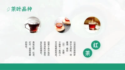 产品介绍-绿色国风简约3项图示