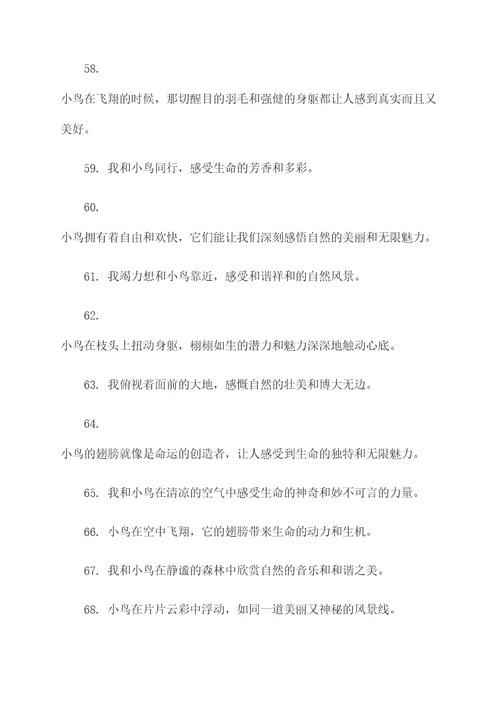 我和小鸟作文好词好句