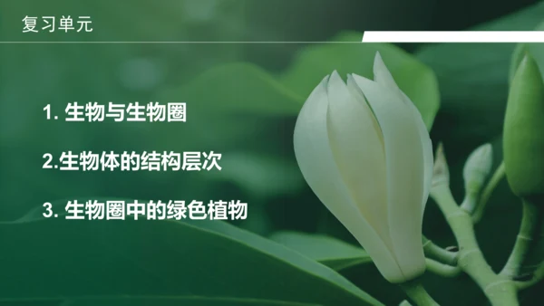 七上第一单元 生物和生物圈复习课件(共26张PPT)