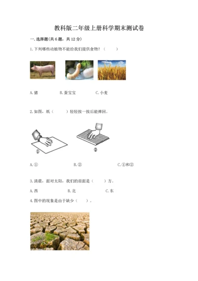 教科版二年级上册科学期末测试卷精品【达标题】.docx