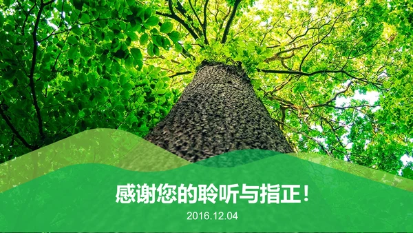 环保绿色森林林业管理工作汇报PPT模板