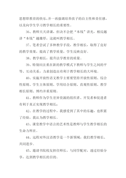 教学相长的意思.docx