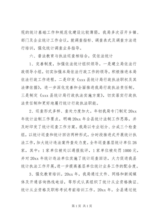 统计局工作总结精选范文.docx