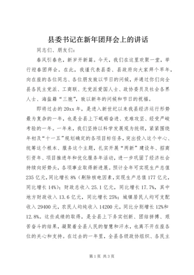 县委书记在新年团拜会上的讲话.docx