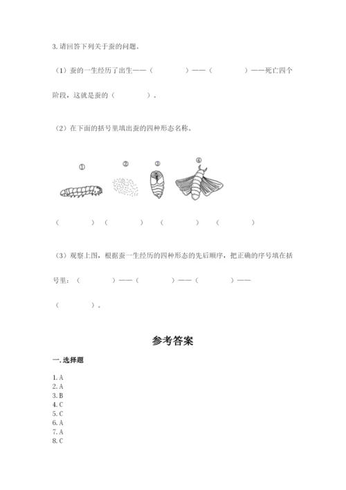 教科版三年级下册科学期末测试卷（典优）.docx