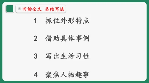 “一核双五”阅读教学法 统编版语文四年级下册第四单元 组文阅读课 课件