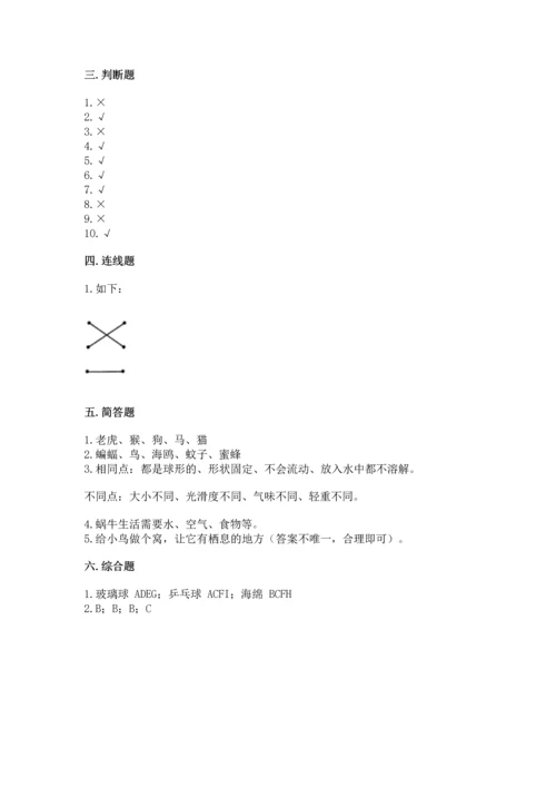 教科版一年级下册科学期末测试卷及下载答案.docx