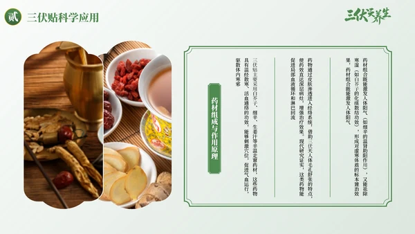 绿色古风三伏天养生健康指南PPT模板