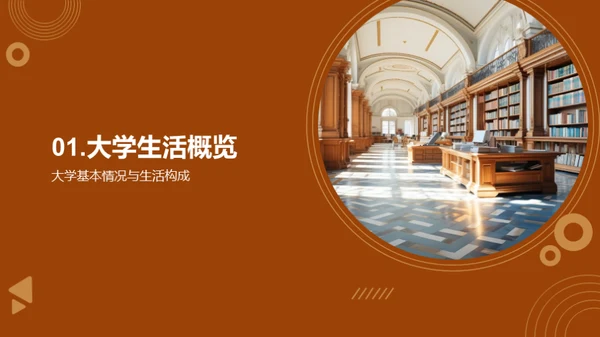 深度解析大学生活