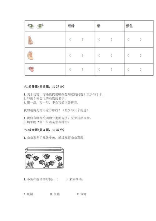教科版小学科学一年级下册期末测试卷附参考答案【基础题】.docx