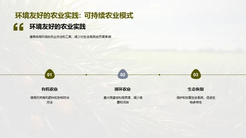 引领油果产业新篇章