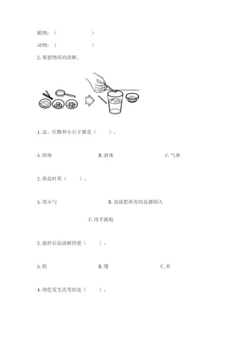 教科版一年级下册科学期末测试卷（a卷）.docx