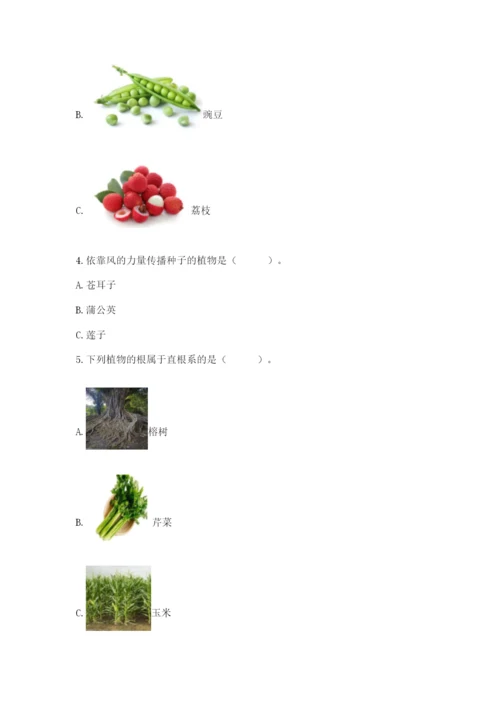 科学四年级下册第一单元植物的生长变化测试卷及答案（典优）.docx