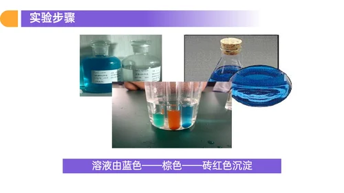 人教版高中生物细胞元素化合物PPT课件