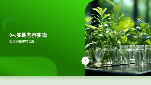 探秘植物生长