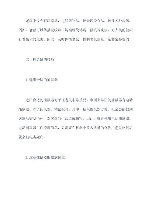 抓老鼠的生物知识点总结