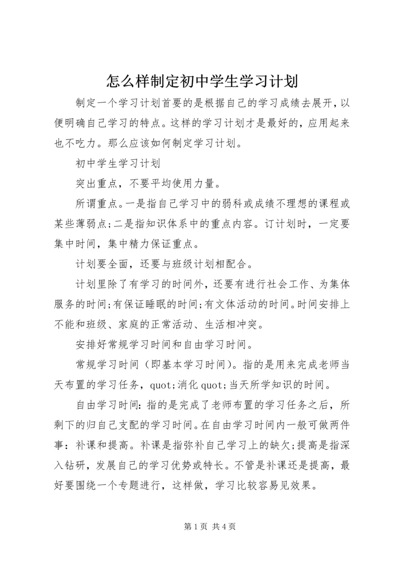 怎么样制定初中学生学习计划.docx