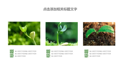 唯美荷花传统文化立春主题班会动态PPT模板