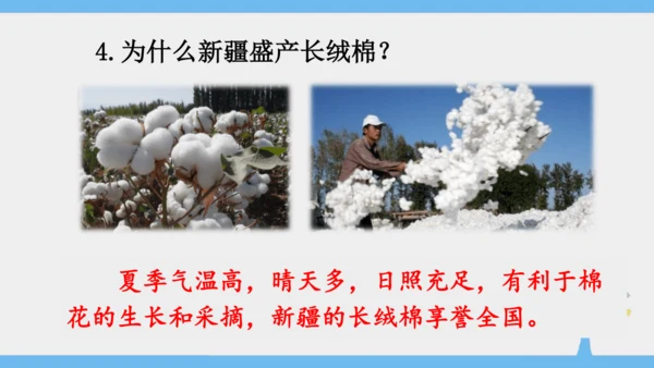 8.1 自然特征与农业（课件35张）-2024-2025学年人教版地理八年级下册