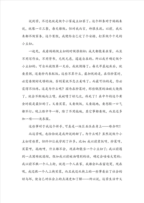 周记高中寒假