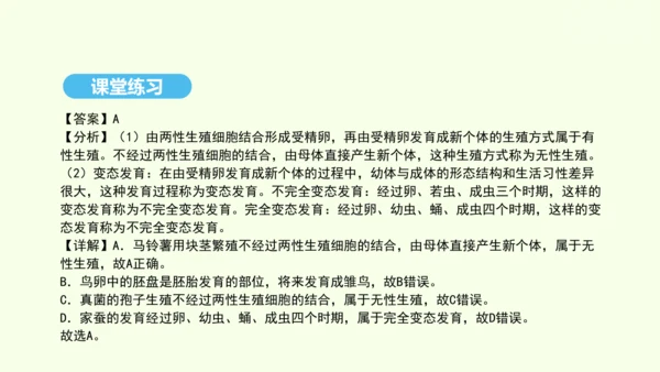 7.1.4鸟的生殖和发育课件-人教版生物八年级下册(共28张PPT)