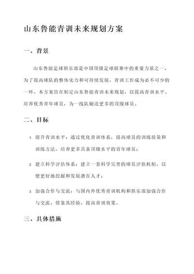 山东鲁能青训未来规划方案