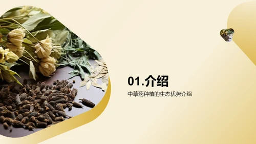 绿色农业：中草药种植新视角