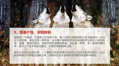 狼性文化企业培训PPT模板
