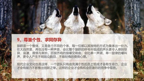 狼性文化企业培训PPT模板