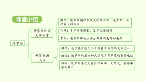 8.4.1 世界面积最大的国家 世界能源大国（课件28张）-2024-2025学年七年级地理下学期人