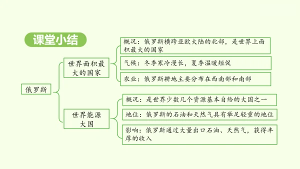 8.4.1 世界面积最大的国家 世界能源大国（课件28张）-2024-2025学年七年级地理下学期人