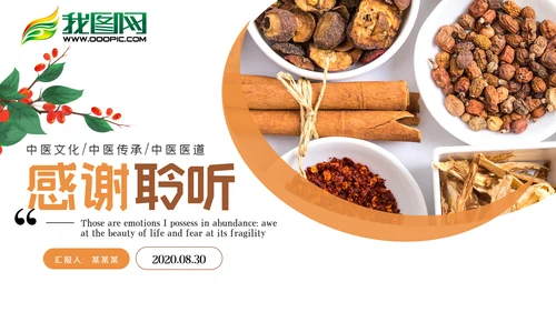 简约中国传统中医中药文化汇报PPT模板