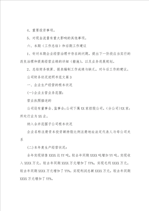 公司财务情况说明书范文