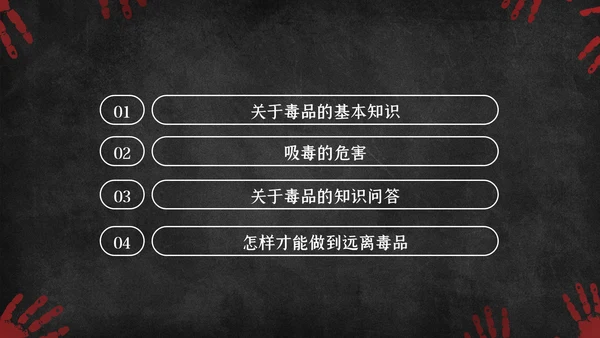 国际禁毒日珍爱生命远离禁毒教育知识PPT模板